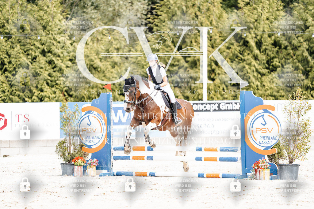 CK906746 | Turnierfotografie Pferdefotografie Trier Rheinland-Pfalz Pferdesport Reitsport Tierfotografie Sportfotografie Pferdevideo Pferdevideografie Equestrianvideography equestrianphotography  - Realisiert mit Pictrs.com
