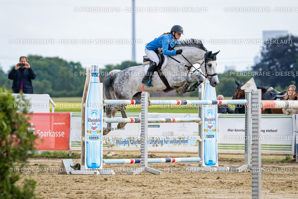 DSC07256 | Pferdegrafie