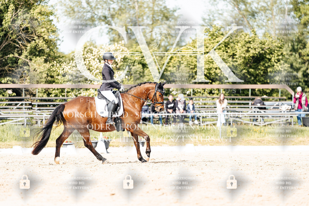 CK900399 | Turnierfotografie Pferdefotografie Trier Rheinland-Pfalz Pferdesport Reitsport Tierfotografie Sportfotografie Pferdevideo Pferdevideografie Equestrianvideography equestrianphotography  - Realisiert mit Pictrs.com