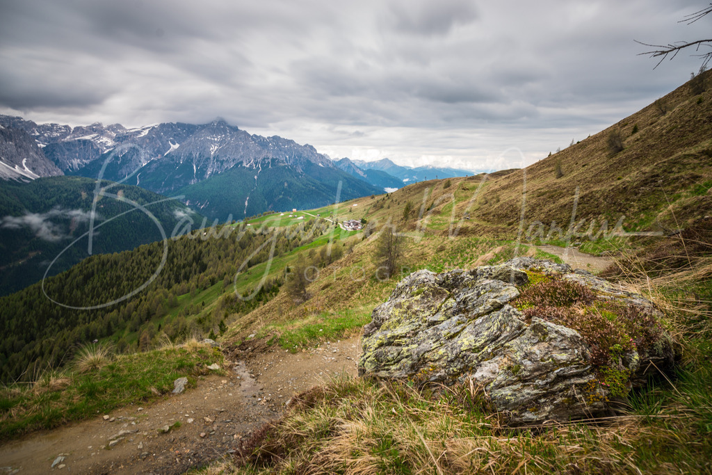 _DSC5011 | Baumgartner Markus Fotografie