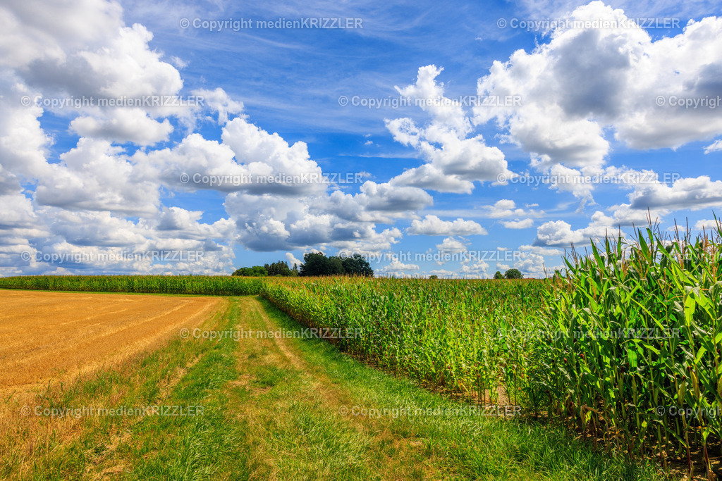 _J3A8338 | medienkrizzler - Realisiert mit Pictrs.com