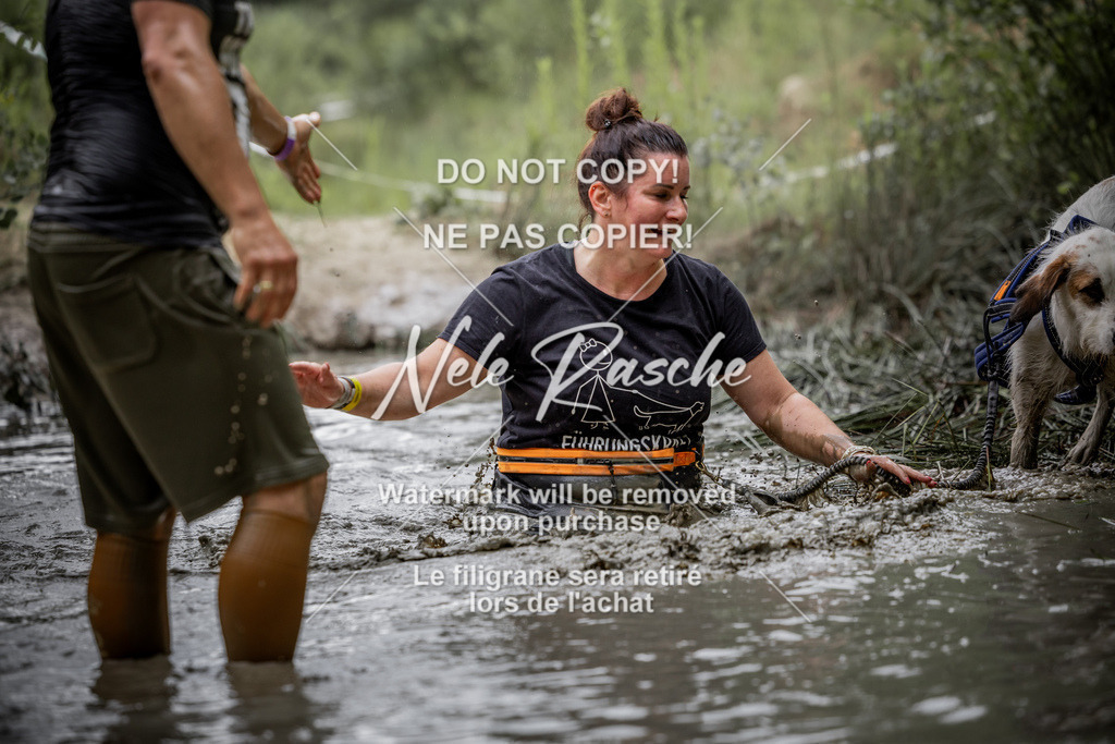 nelerasche_so0800-0930_432 | nelerasche