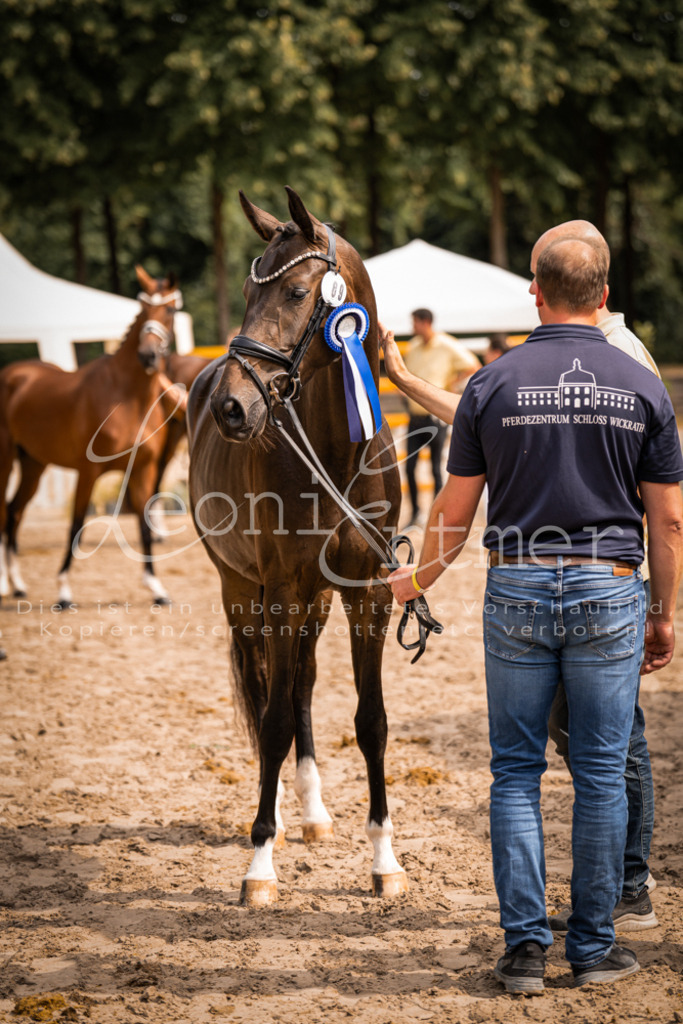 6.Fr00148 | Leoni Ertmer Photography - Realisiert mit Pictrs.com