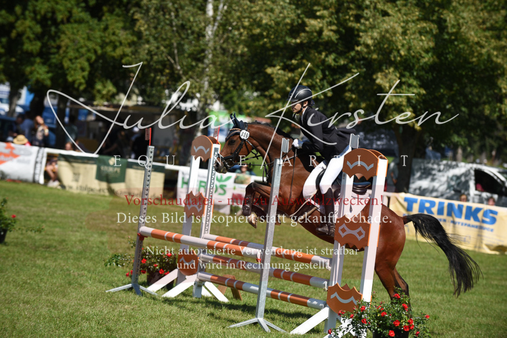 DSC_9567 | Pferde- und Turnierfotografie in Westsachsen. Pferdeportraits, Auftragszeichnungen und intuitive Kunst.