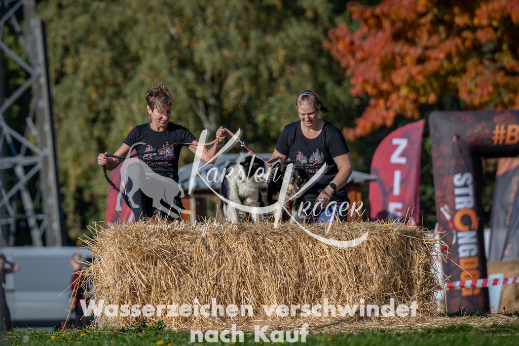 1054_ZZ92037 | kk-dogfotos