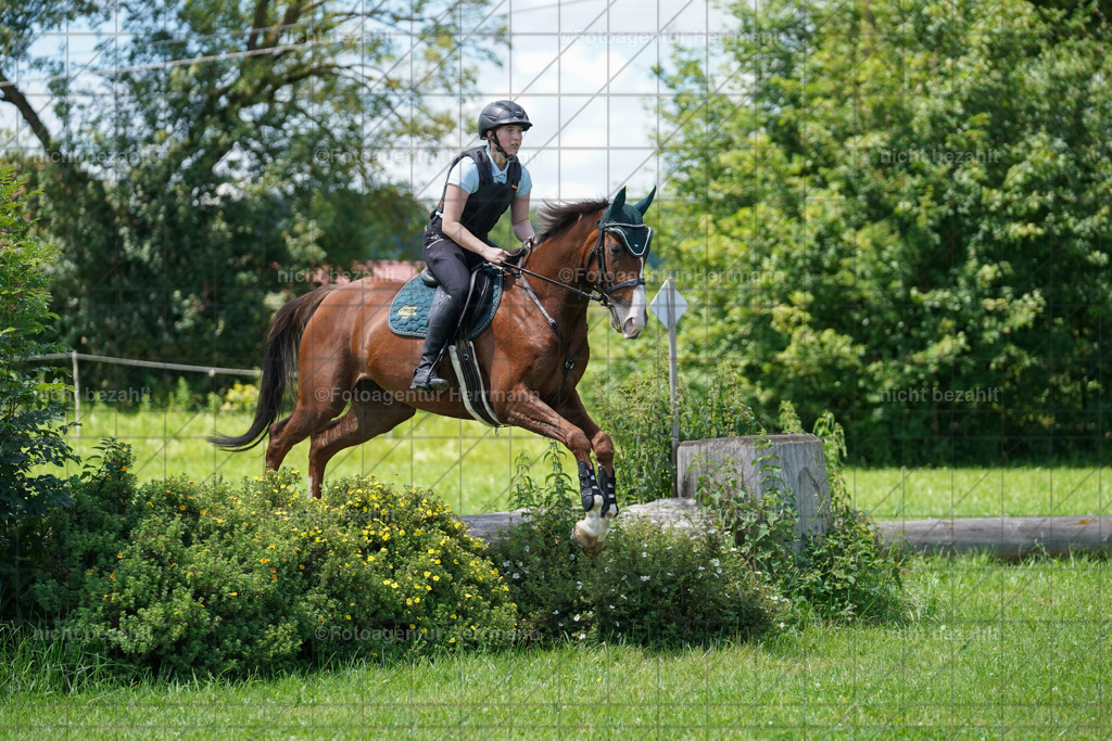 20240622-FAH06928 | Turnierfotografen Bayern, Reitsportbilder aus dem Geländekurs mit Felix Etzel auf dem Gut Waitzacker 2024