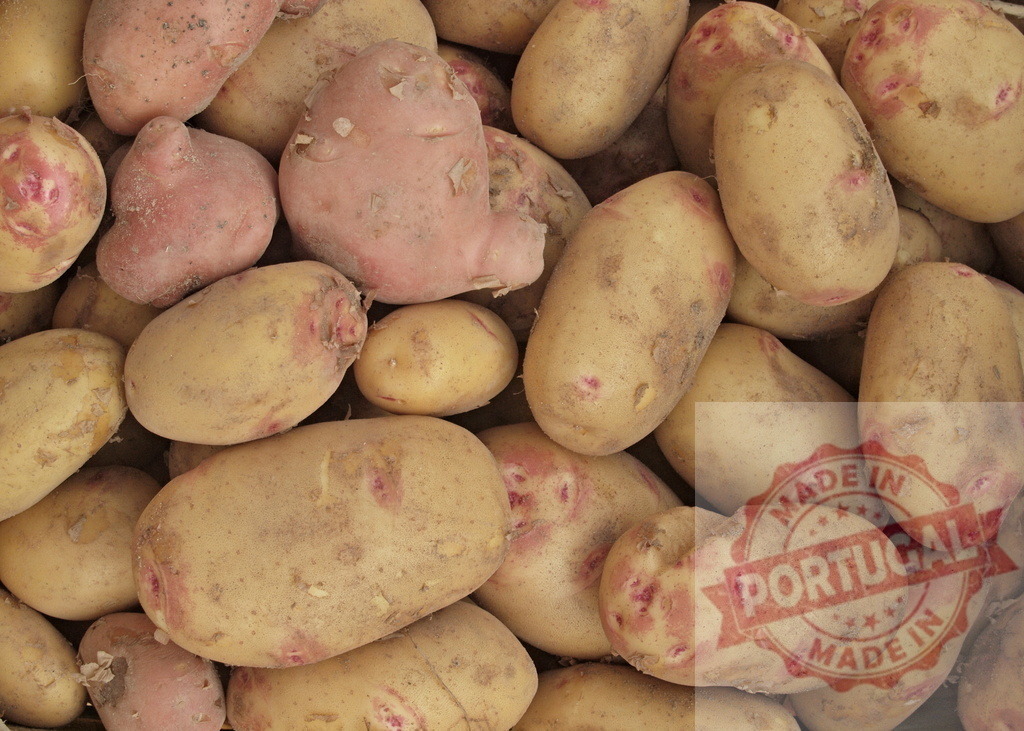Harvest of raw organic red and yellow potatoes | Raw colorful potatoes filling the frame, showing organic farm to table freshness - Realized with Pictrs.com