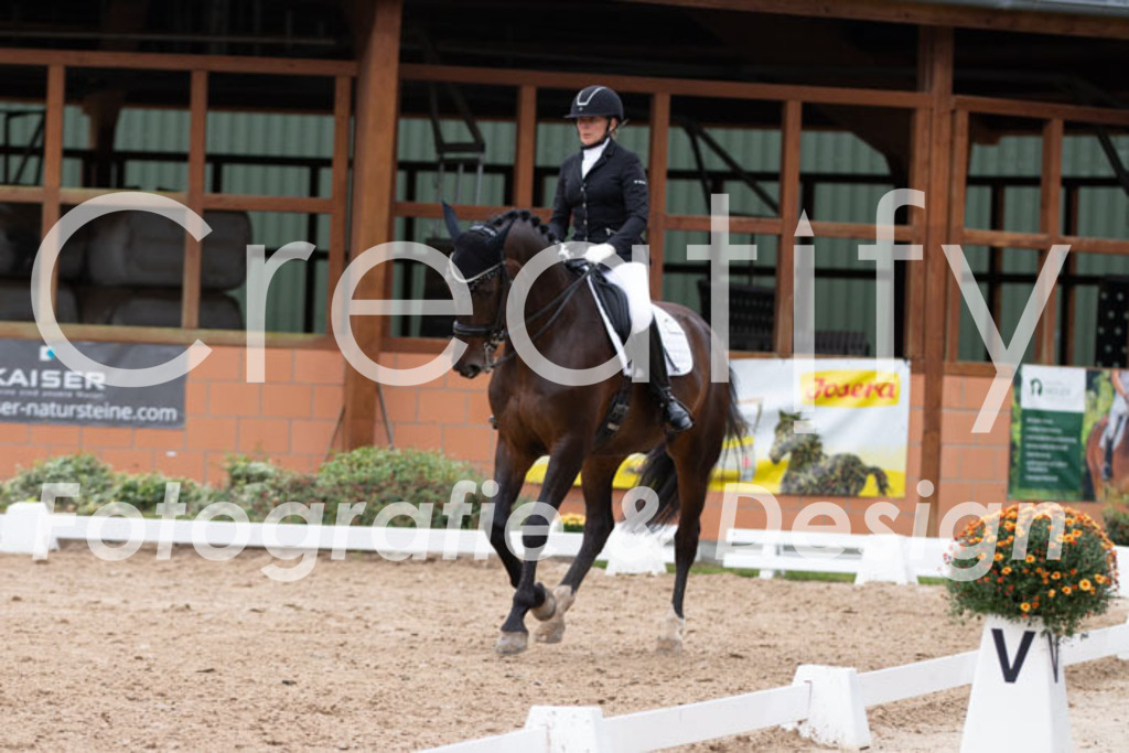 IMG_7597 | Creatify Fotografie