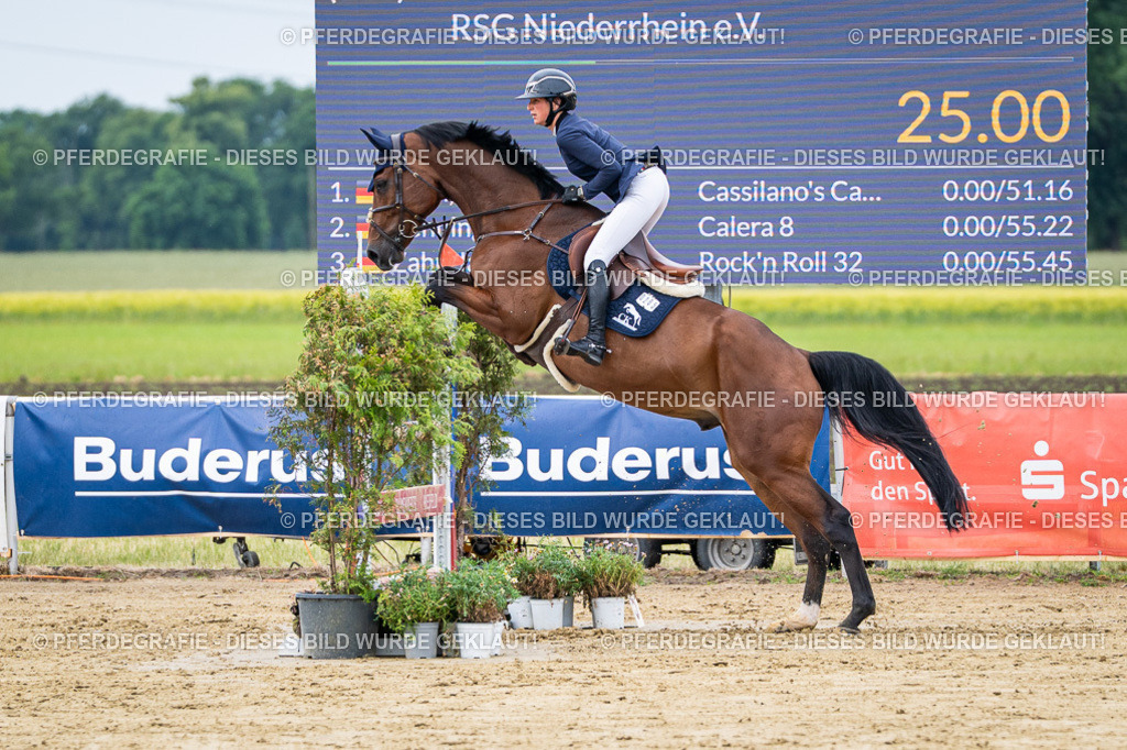 DSC04901 | Pferdegrafie