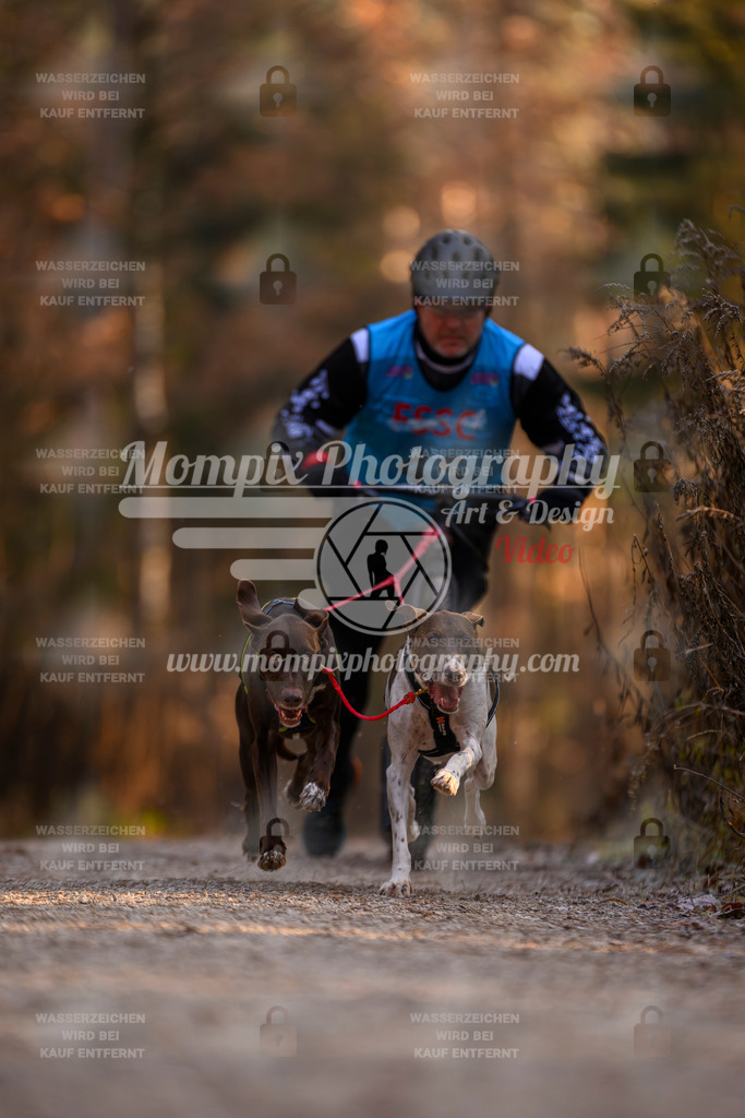 MompixPhotography_DM_AKDM_SO_2025_Scooter-33 | PayLife