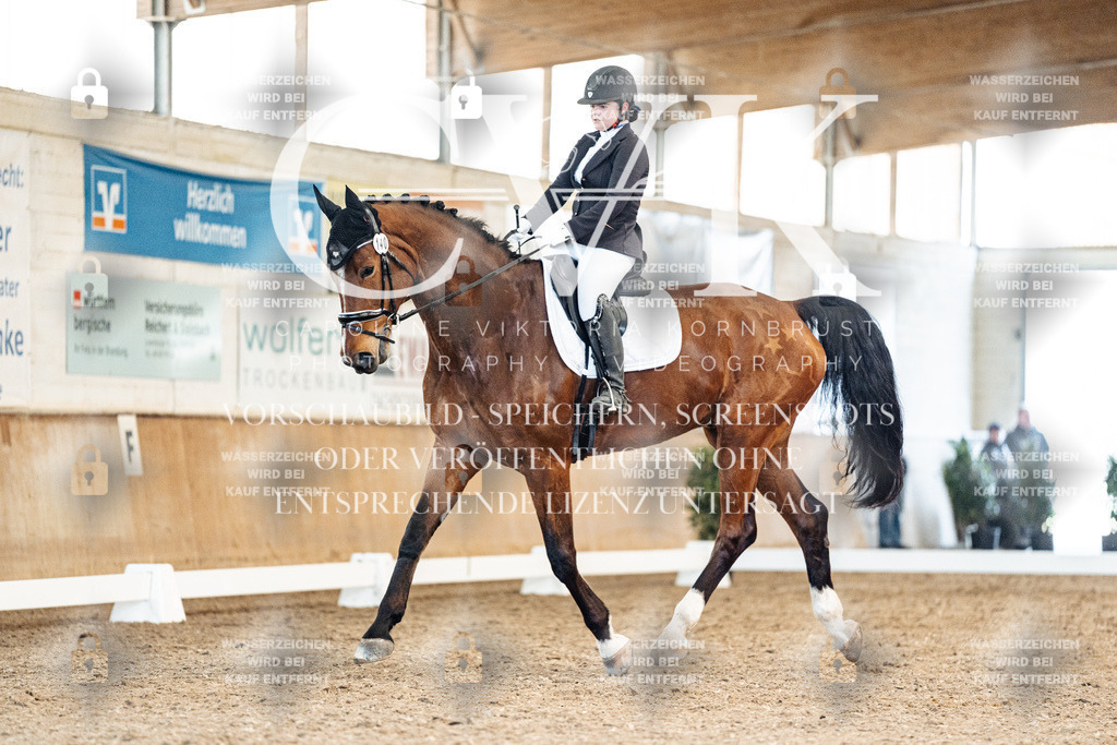 CK909206 | Turnierfotografie Pferdefotografie Trier Rheinland-Pfalz Pferdesport Reitsport Tierfotografie Sportfotografie Pferdevideo Pferdevideografie Equestrianvideography equestrianphotography  - Realisiert mit Pictrs.com