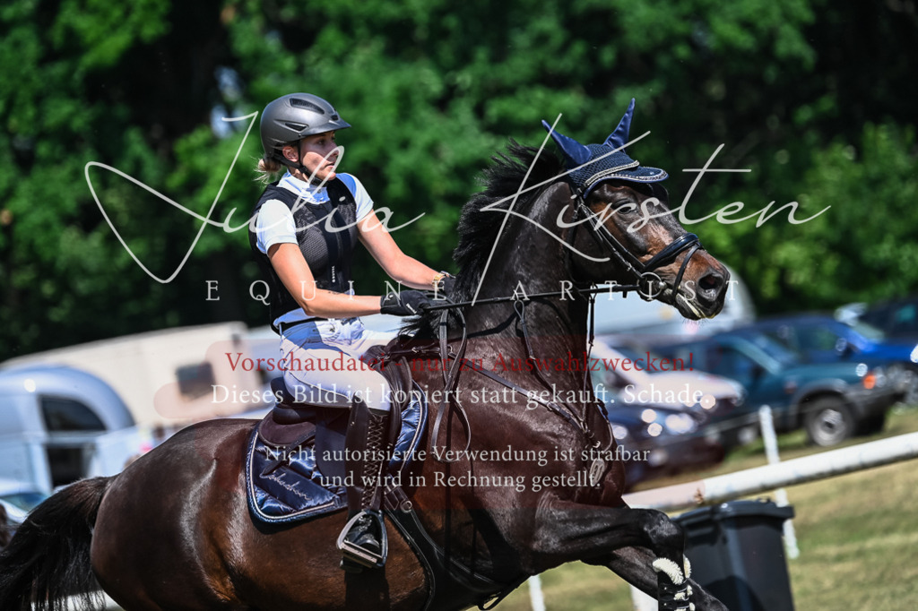 DSC_1127 | Pferde- und Turnierfotografie in Westsachsen. Pferdeportraits, Auftragszeichnungen und intuitive Kunst.