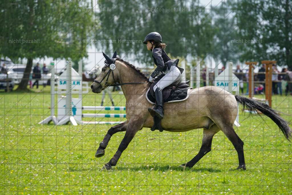 20240509-FAH02330 | Turnierbilder der Turnierfotografen Bayern, Pferdesport Fotografie, Reitsportbilder, Turnier Landberg am Lech, Turnierbilder bayern, Fotoagentur Herrmann