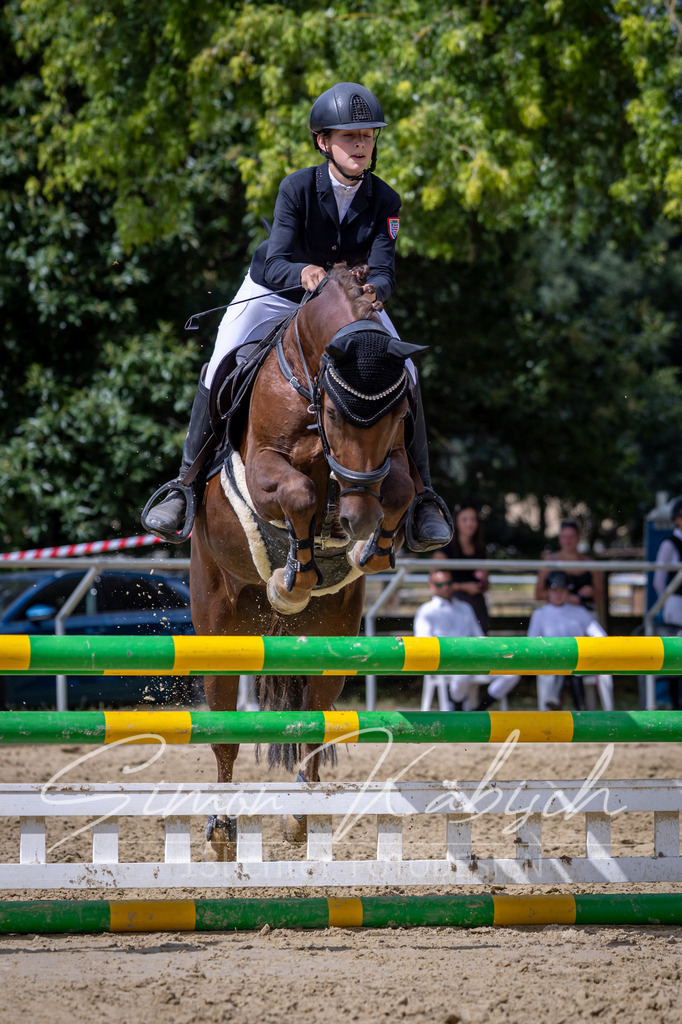20260704-_3LI0768 | Tierfotografie Pferde, Hunde, Katzen, Haustiere.
Turnierfotografie Reitturniere, Reiten, Springreiten, Dressur in Hanau, dem Main-Kinzig-Kreis und dem Rhein-Main- Gebiet um Frankfurt