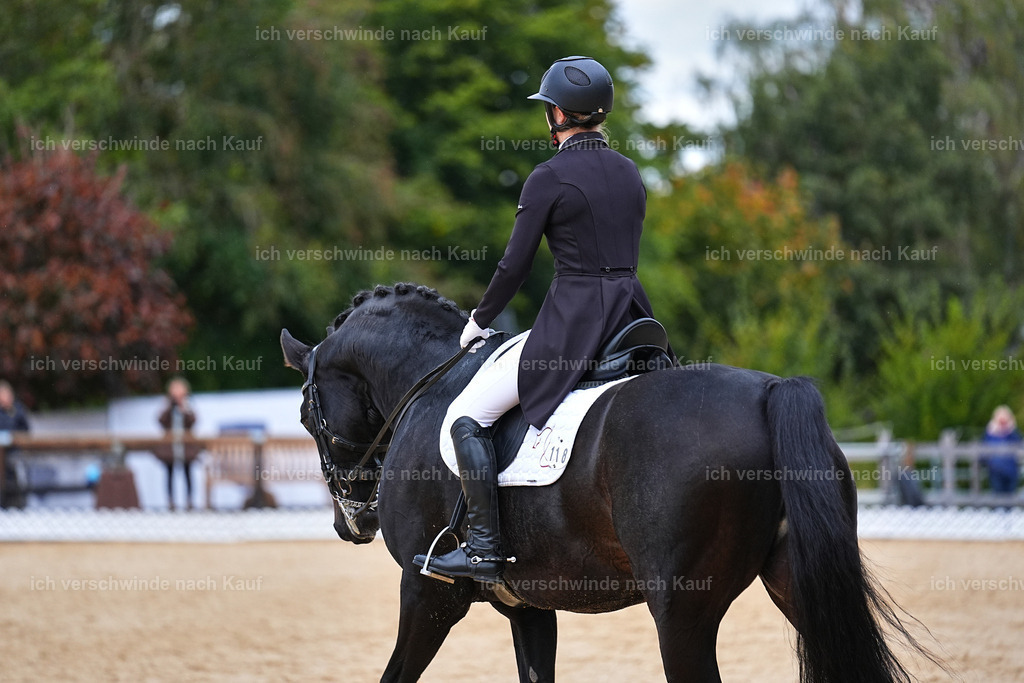 8_1-118-Klasse S_  -Marixx-4230 | working equitationturnier fotograf videograf stoibphotography marixx film working equitation deutschland reitsport turnierfotografie eventfotografie equestrian events