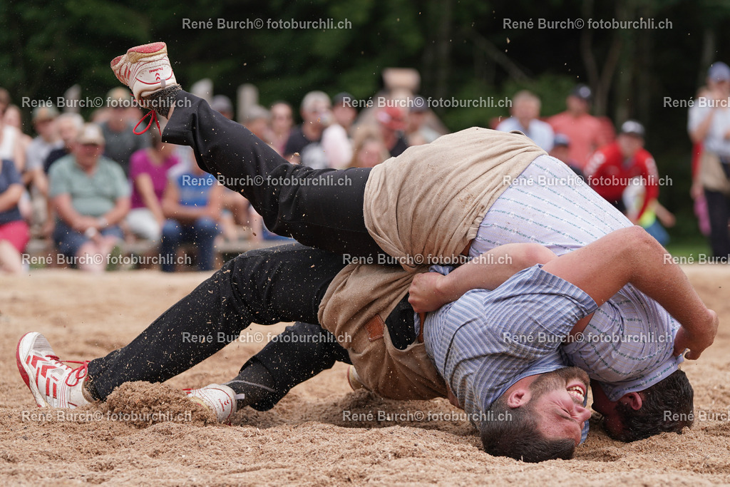 DSC00174 | René Burch leidenschaftlicher Fotograf aus Kerns in Obwalden.  Hier finden sie Sport, Landschaft und Natur Fotografie.
 - Realisiert mit Pictrs.com
