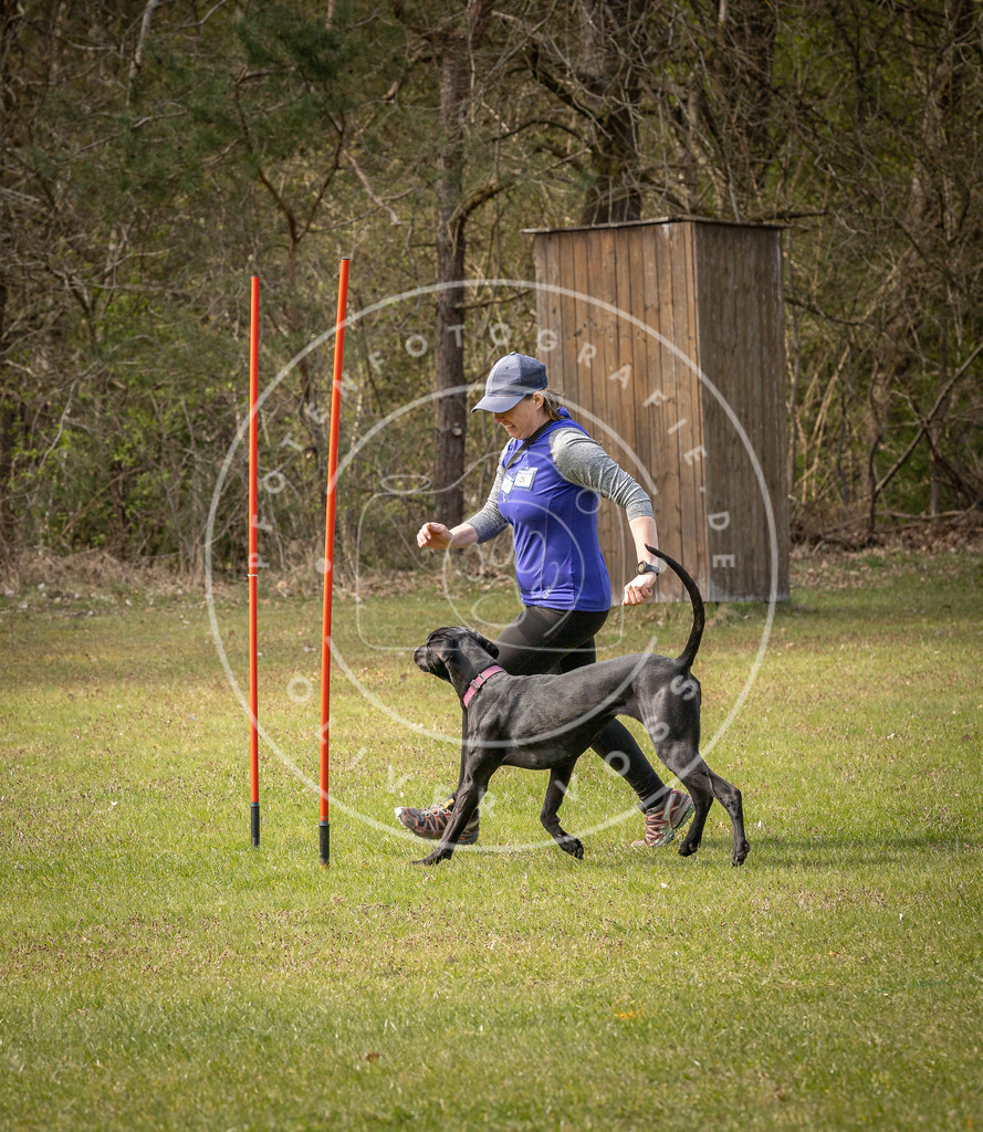 Pfotenfotografie_DV3A7540 | Hundefotografie, Tierfotograf, Pfotenfotografie, Fotoshooting Hund, Hunde Portrait, Hundesport, Hundeportraits, Heideshooting, Hunde, Sportfotograf, Hundefotograf, Turnierhundsport, THS,  - Realisiert mit Pictrs.com