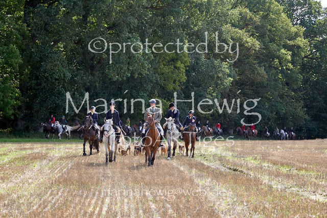 08-23 Bredeneek Jagd_MCH9002_Marina Hewig | Fotografie, FotoArt, PferdesportArt, Pferdesportfotografie, Landschaftsfotografie, Reisefotografie, Reise, Pferde - Realisiert mit Pictrs.com