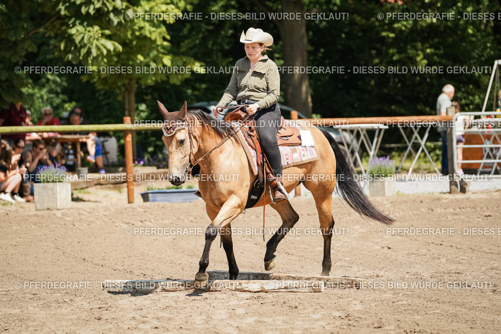 DSC06696 | Pferdegrafie