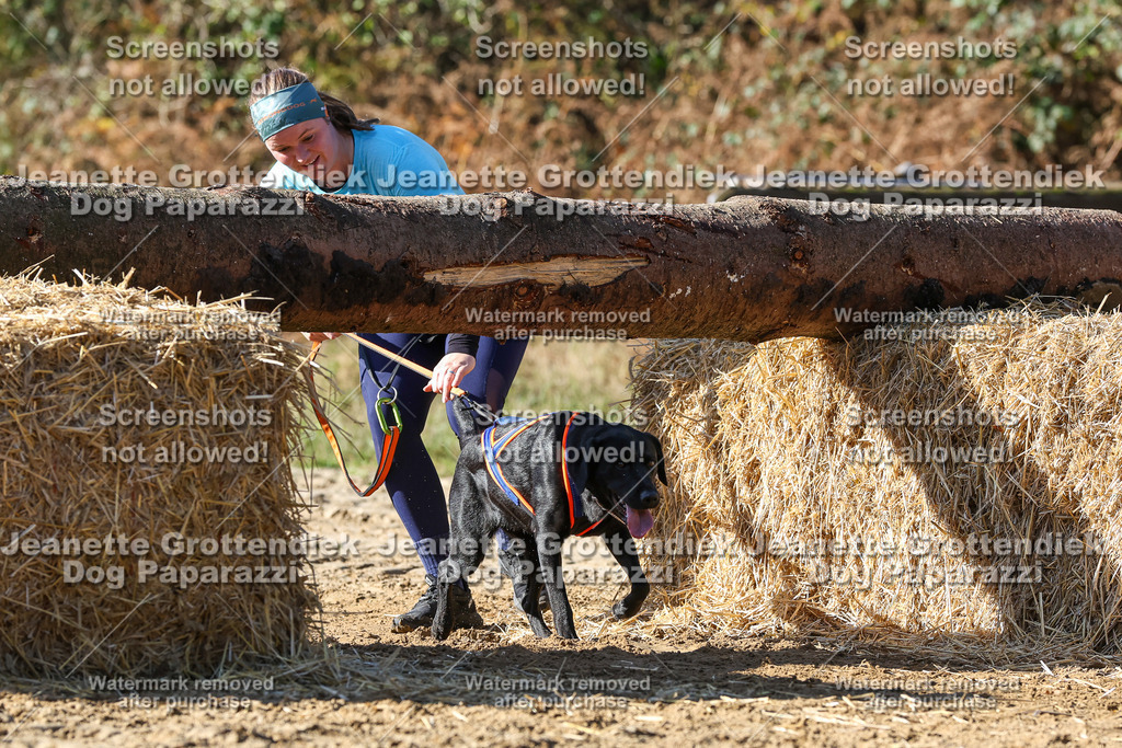 Dog Paparazzi - Strongdog 10-25-2918 | Dog Paparazzi Jeanette Grottendiek Fotografie & Videografie - Realisiert mit Pictrs.com