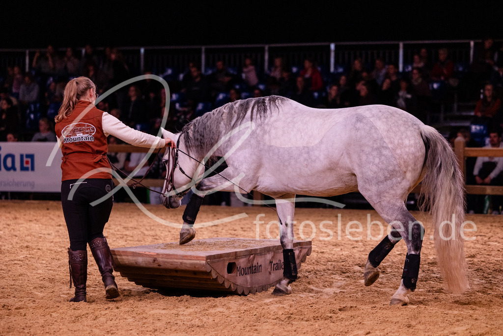 846A8303 | fotosleben - Realisiert mit Pictrs.com