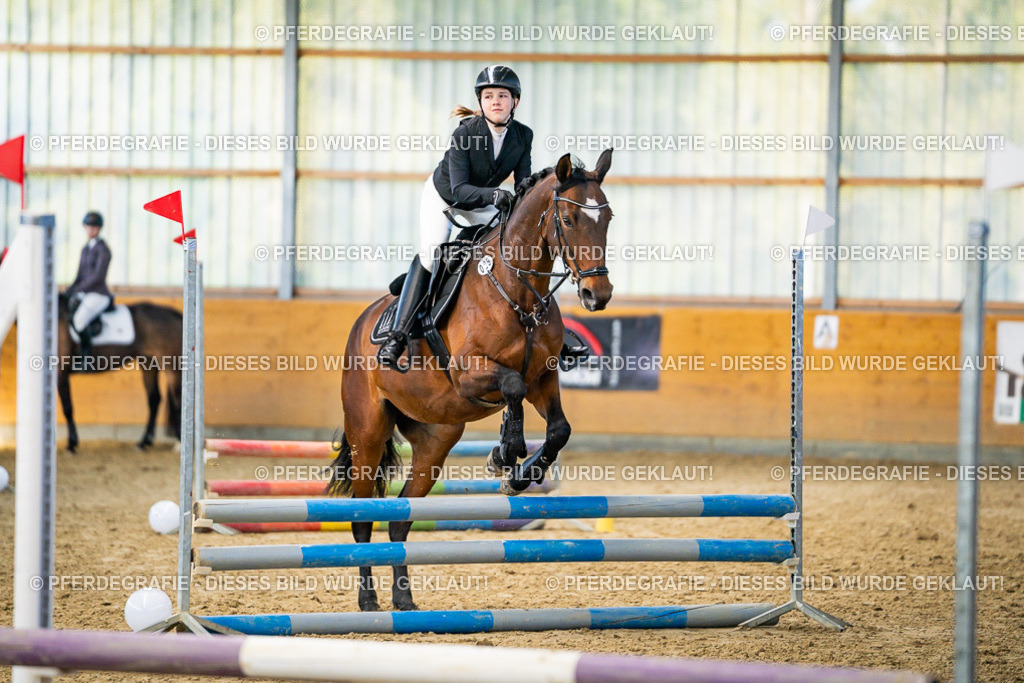 DSC01137 | Pferdegrafie