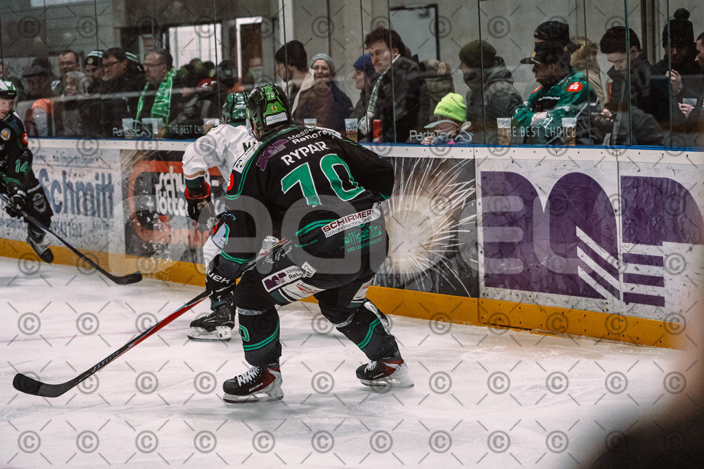 Alligators_vs_Erding_01_02_2026-12 | Höchstadt Alligators Fotogalerie: Eishockey-Action aus Franken. Professionelle Spielfotos, Portraits & Stadionbilder zum Download. Jetzt entdecken! - Realisiert mit Pictrs.com