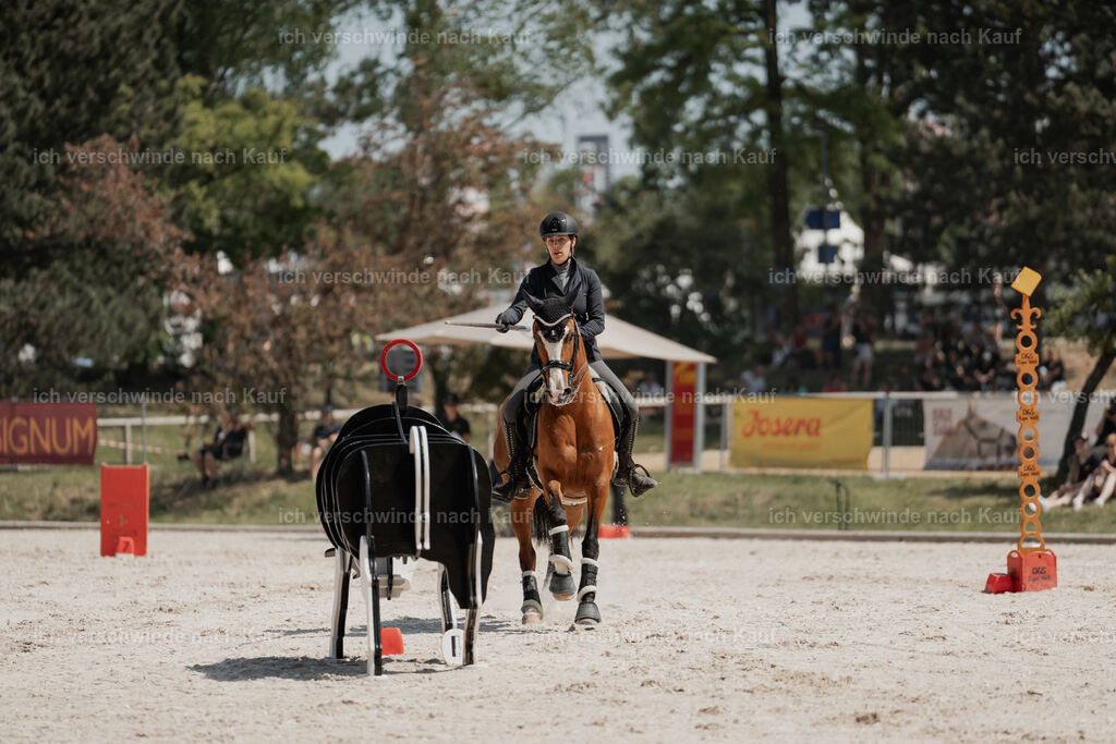 WE_SP_Stoib_337_PI2025_2102 | Pferd International München 2025