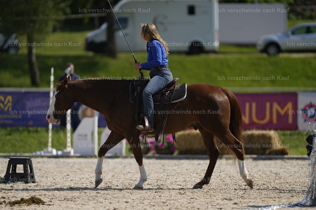 PI26_Show_Stoibphotography_A749323.JPG | working equitationturnier fotograf videograf stoibphotography marixx film working equitation deutschland reitsport turnierfotografie eventfotografie equestrian events