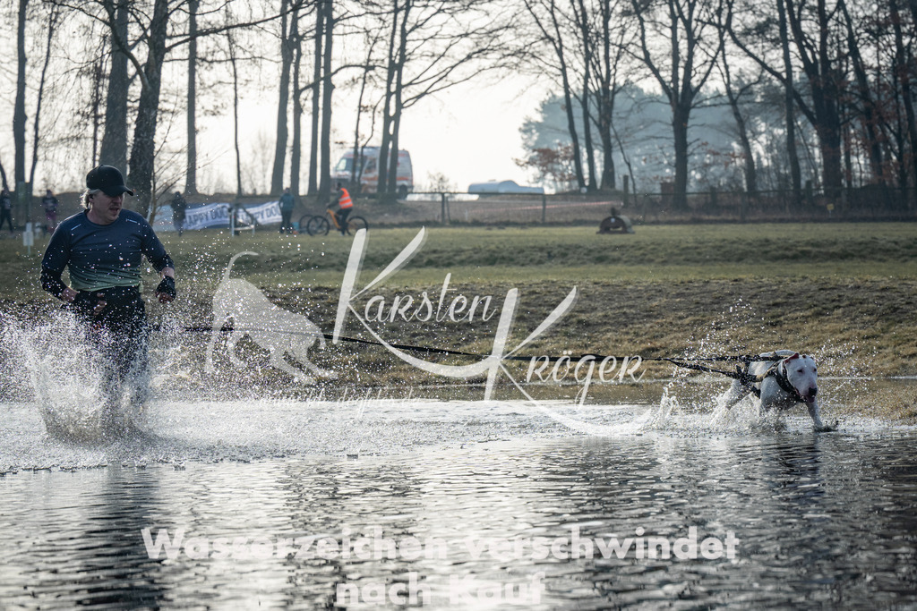 0850_ZZ98683 | kk-dogfotos
