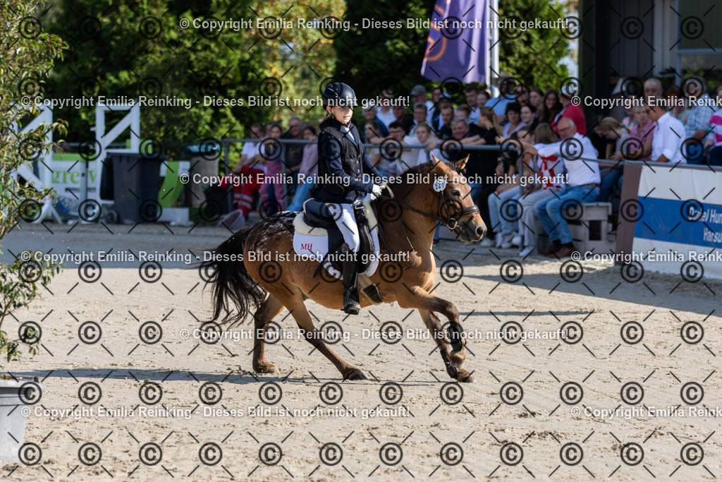 CL5A0081 | Emilia Reinking Fotografie - Realisiert mit Pictrs.com