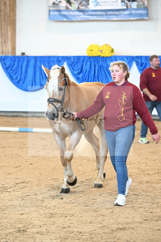 Kat-Nr. 35 nn v. Bugatti_Friedrich_48250815 | hf-fotografie - Realisiert mit Pictrs.com