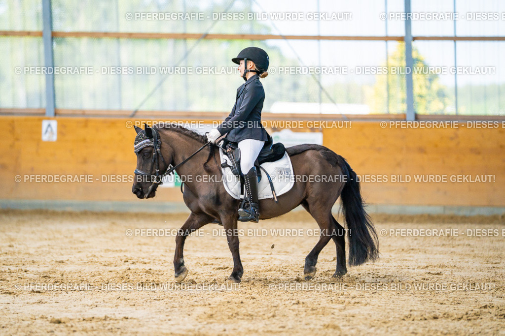 DSC06624 | Pferdegrafie