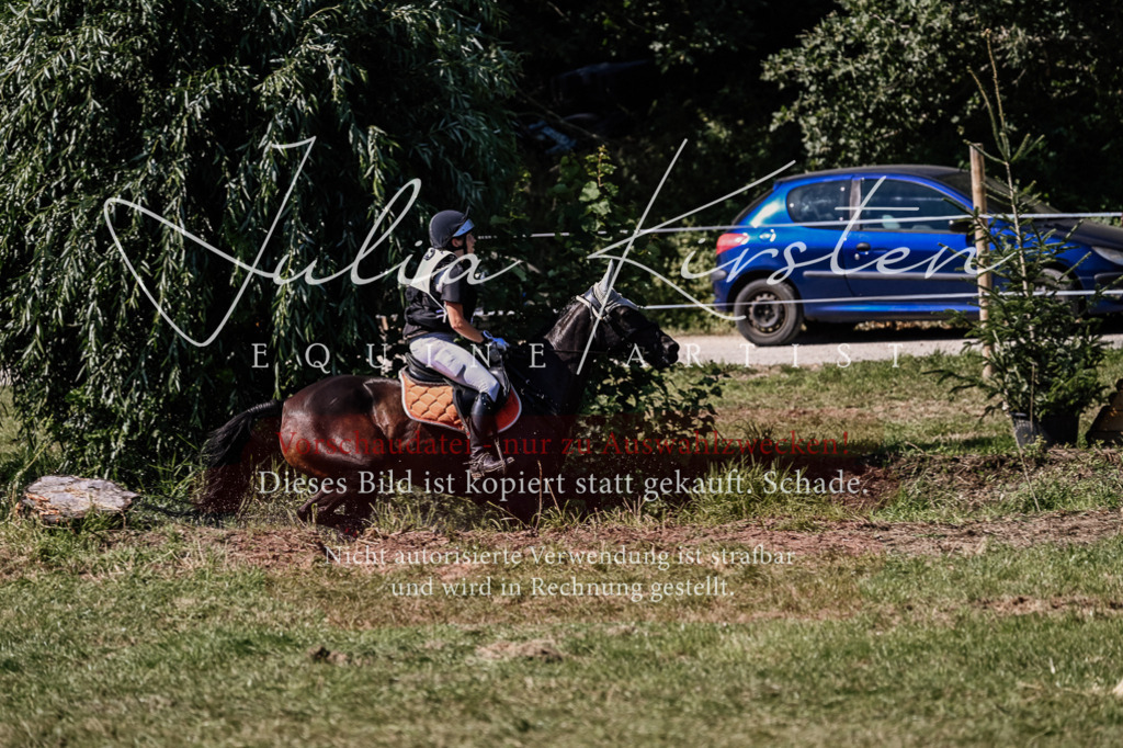 DSC_1796 | Pferde- und Turnierfotografie in Westsachsen. Pferdeportraits, Auftragszeichnungen und intuitive Kunst.