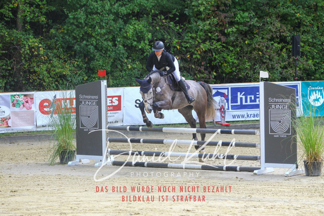 DKP40134 | Turniersportfotografie; Pferdefotografie; Dressurfotografie