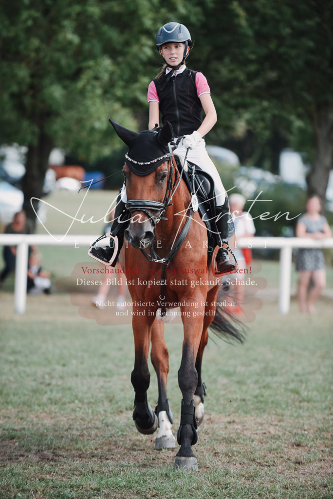 DSC_5584 | Pferde- und Turnierfotografie in Westsachsen. Pferdeportraits, Auftragszeichnungen und intuitive Kunst.