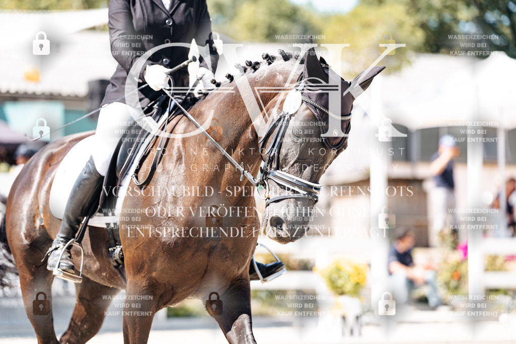 CK900139 | Turnierfotografie Pferdefotografie Trier Rheinland-Pfalz Pferdesport Reitsport Tierfotografie Sportfotografie Pferdevideo Pferdevideografie Equestrianvideography equestrianphotography  - Realisiert mit Pictrs.com