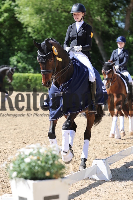 Böblingen_2025_Prfg.Nr.08_Dressurprüfung_Kl.M_Nürnberger Burgpokal_Siegerehrung_Prfg.Nr.08__ (23) | Alle Fotos der Reiterjournal Fotografin Doris Matthaes im Reiterjournal Online-Fotoshop. - Realisiert mit Pictrs.com