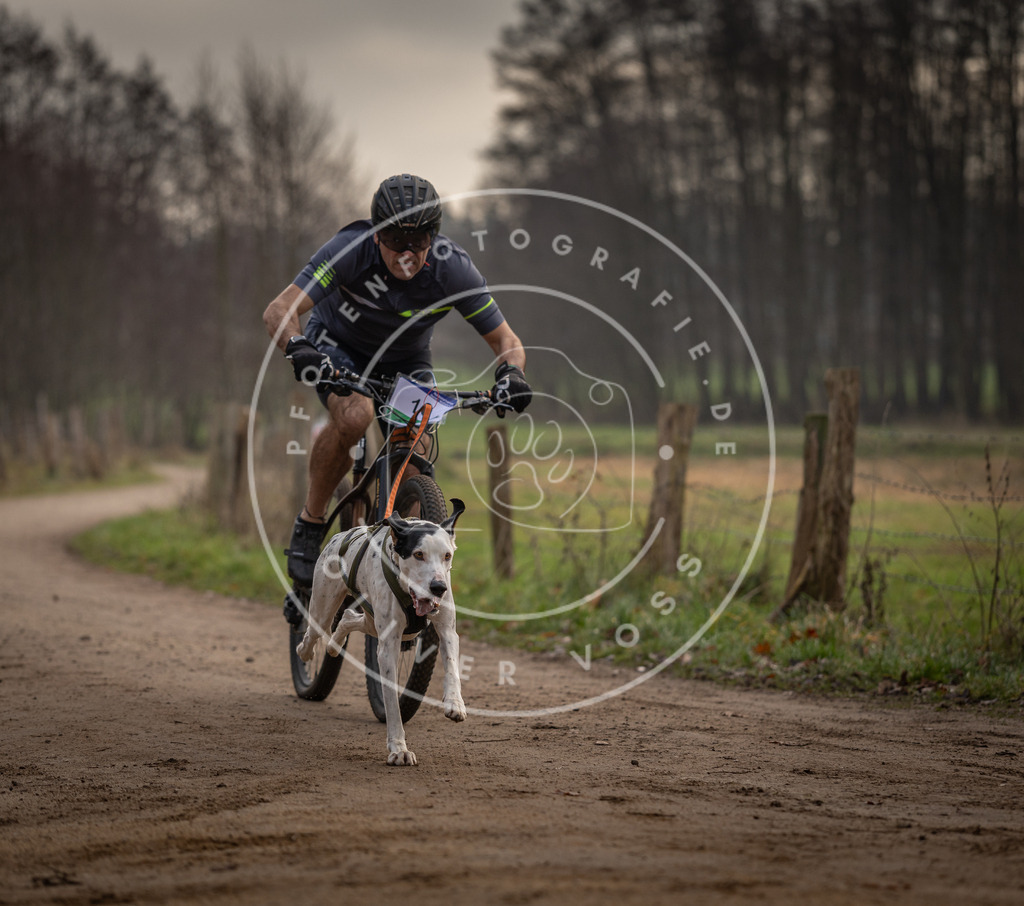 Pfotenfotografie_DV3A1736 | Hundefotografie, Tierfotograf, Pfotenfotografie, Fotoshooting Hund, Hunde Portrait, Hundesport, Hundeportraits, Heideshooting, Hunde, Sportfotograf, Hundefotograf, Turnierhundsport, THS,  - Realisiert mit Pictrs.com
