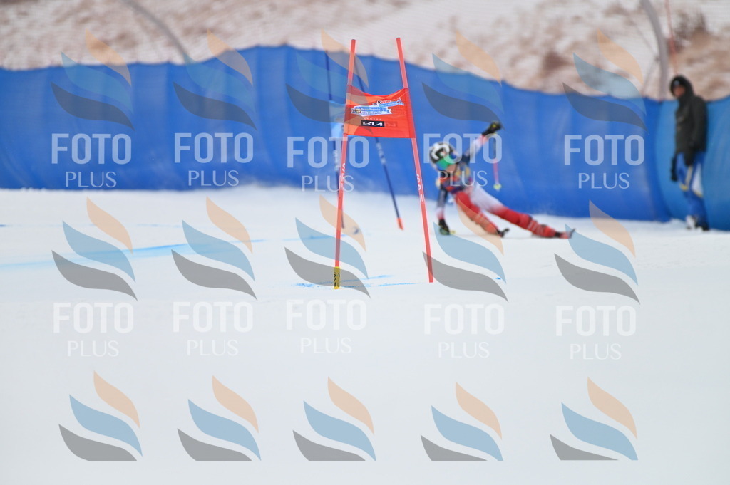 BGV_9970 | holidayphoto