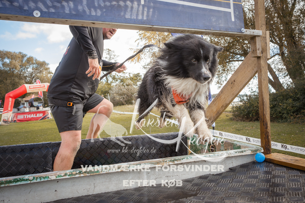 1327_ZZ90899-2 | kk-dogfotos
