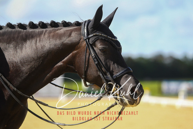 DKP45451 | Turniersportfotografie; Pferdefotografie; Dressurfotografie