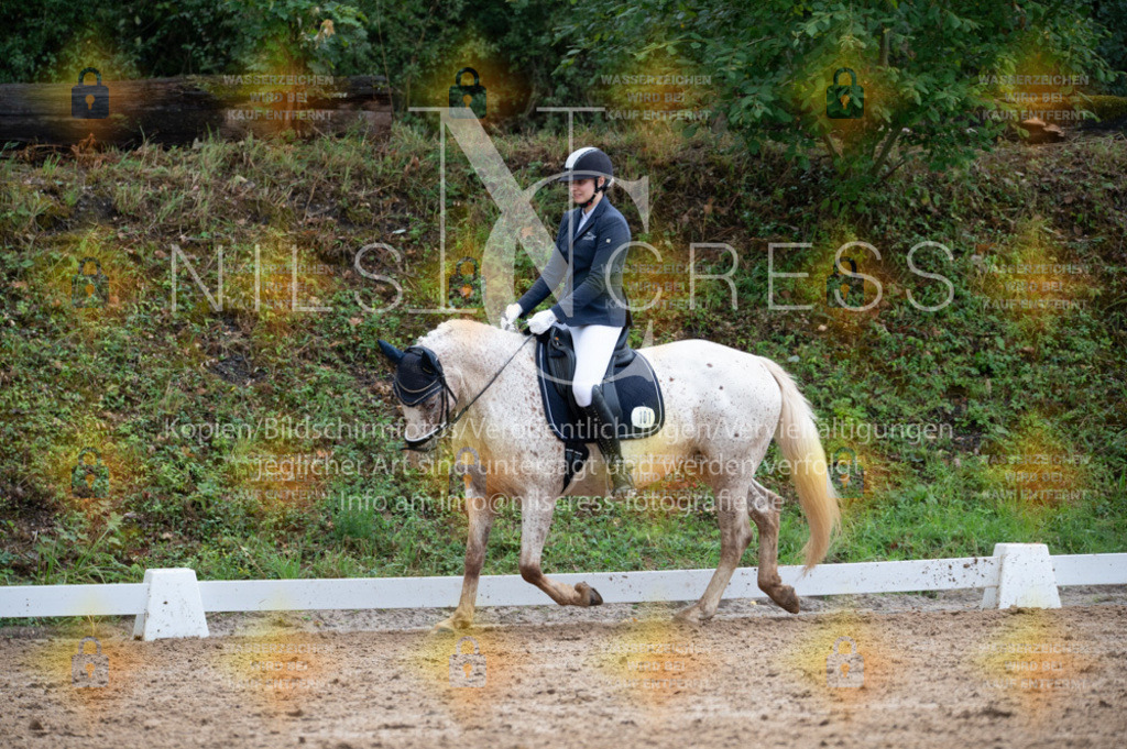 DSC_2159 | Nils Cress - Fotografie - Realisiert mit Pictrs.com