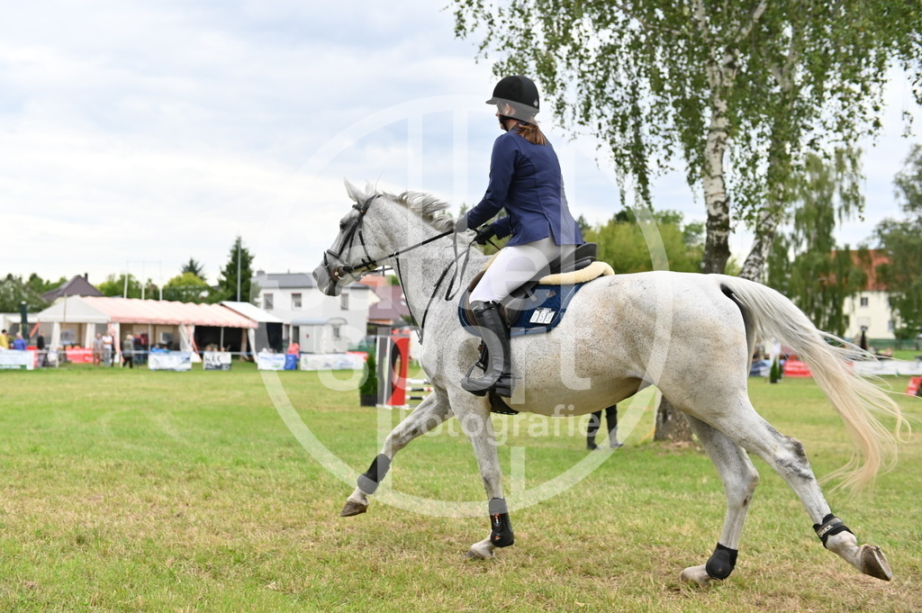 DSC_4082 | sattelsport - Realisiert mit Pictrs.com