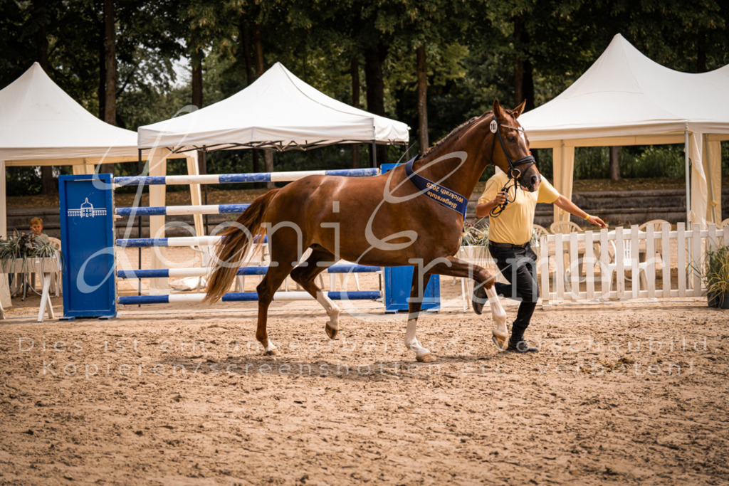 3.Fr00272 | Leoni Ertmer Photography - Realisiert mit Pictrs.com