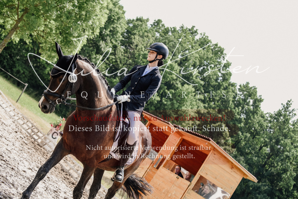 DSC_0835 | Pferde- und Turnierfotografie in Westsachsen. Pferdeportraits, Auftragszeichnungen und intuitive Kunst.
