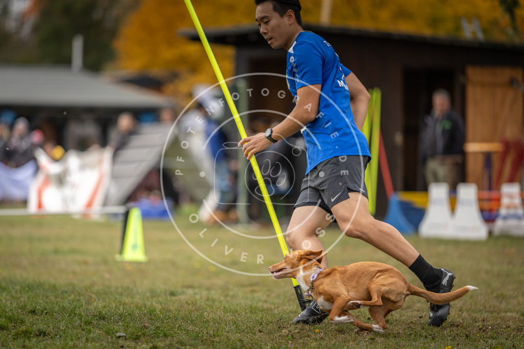 Pfotenfotografie_DV3A7892 | Hundefotografie, Tierfotograf, Pfotenfotografie, Fotoshooting Hund, Hunde Portrait, Hundesport, Hundeportraits, Heideshooting, Hunde, Sportfotograf, Hundefotograf, Turnierhundsport, THS,  - Realisiert mit Pictrs.com