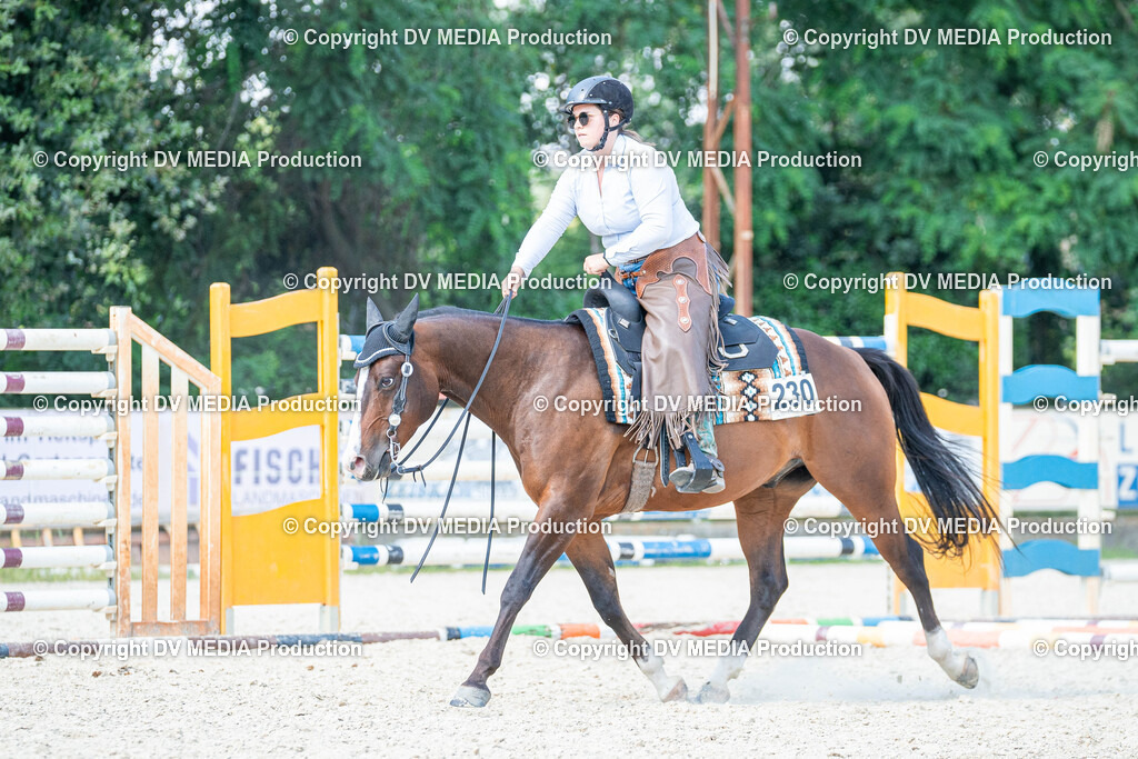 Zeiskam Tag 1-1065 | dv-media-shop - Realisiert mit Pictrs.com