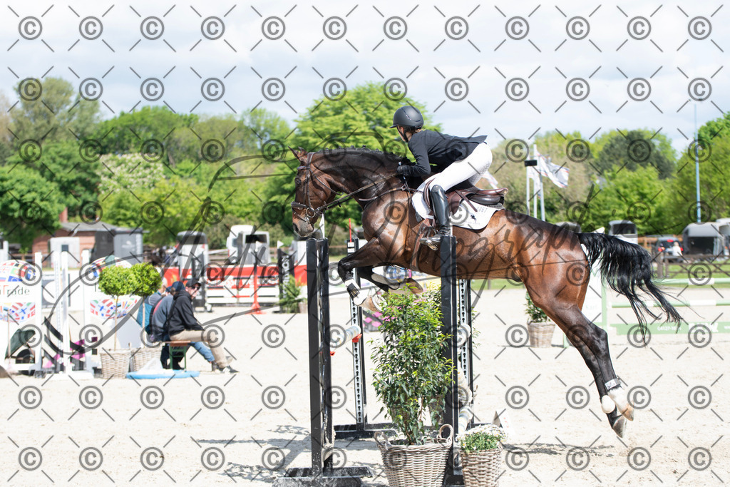 KPT_5213 | andre_photographic