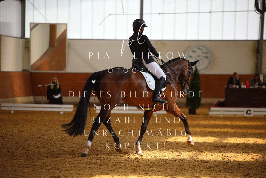 IMGT5047 | pl-fotografie